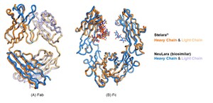 NeuClone to Initiate Phase I Clinical Trial of Stelara (Ustekinumab) Biosimilar, the Second Biosimilar from the 10-product Portfolio with Serum Institute