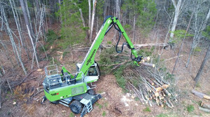 Maltby and Company Provides Safe &amp; Efficient Commercial Tree Removal With State of the Art Equipment
