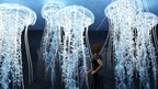 Ocean Cube, The First Oceanic and Immersive Underwater Exhibit, To Debut in New York City Next Month