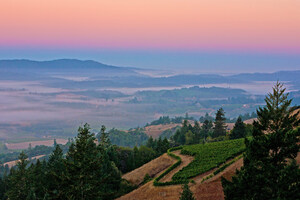 Summer Travel on California Wine Country Back Roads