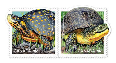Timbres des tortues en voie de disparition (Groupe CNW/Postes Canada)