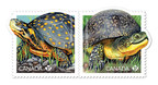 De nouveaux timbres attirent l'attention sur le sort des tortues en voie de disparition