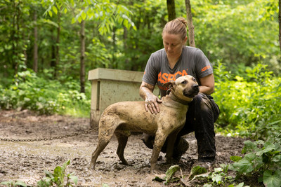 ASPCA Assists Indiana Gaming Commission in Rescuing Nearly 600 Birds and Dogs from Animal Fighting Case