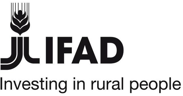 IFAD calls for political determination to reform the global financial architecture