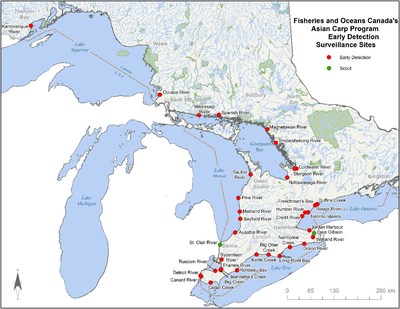 Le gouvernement du Canada ouvre la saison 2019 du Programme sur la carpe asiatique sur le terrain pour dtecter les espces envahissantes dans les Grands Lacs (Groupe CNW/Pches et Ocans Canada - Rgion du Centre et Arctique)