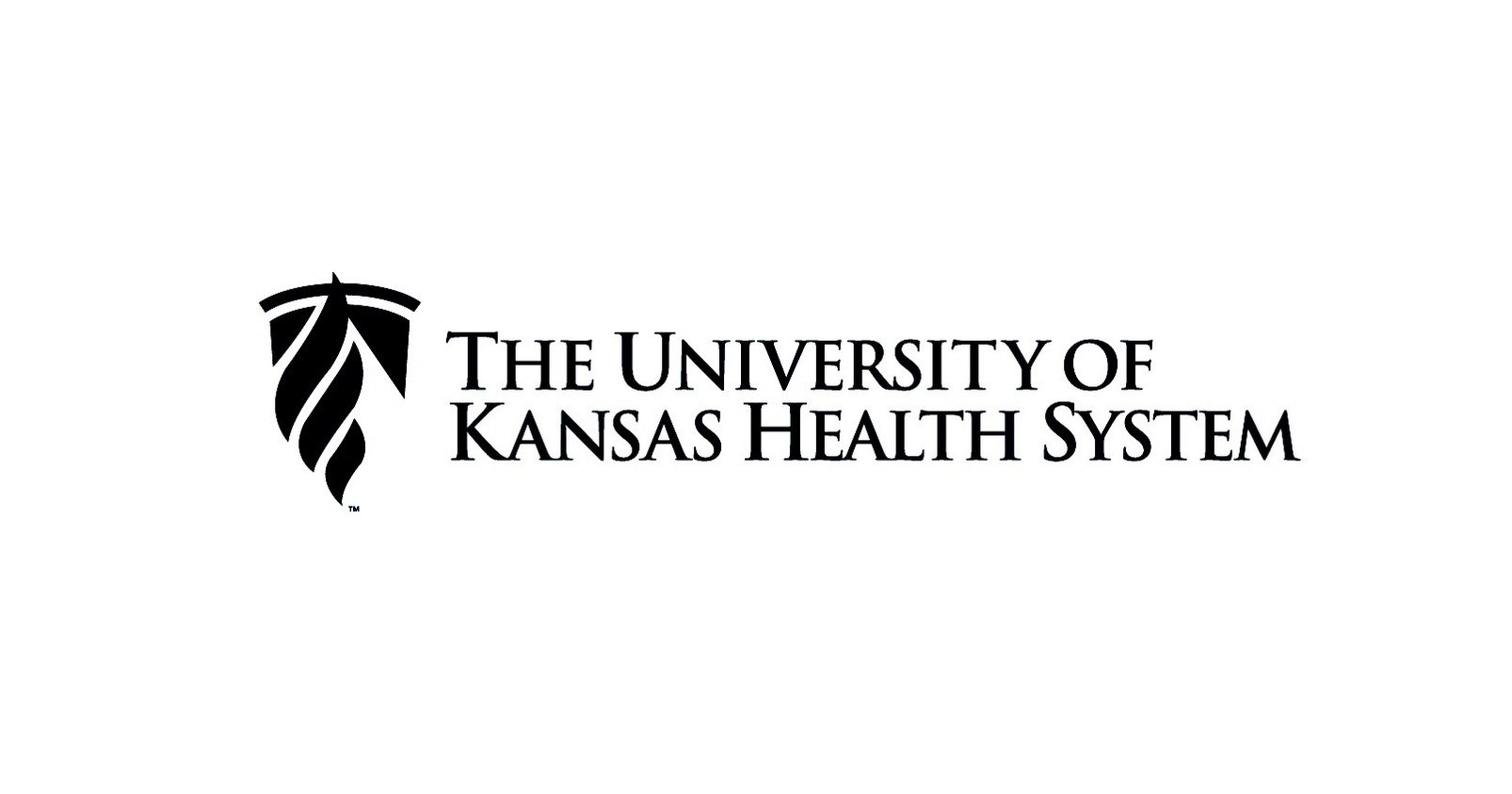 University Health System Logo