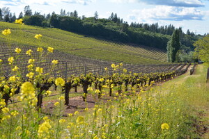 Travel California Wine Country's Back Roads This Summer: Sierra Foothills Spotlight
