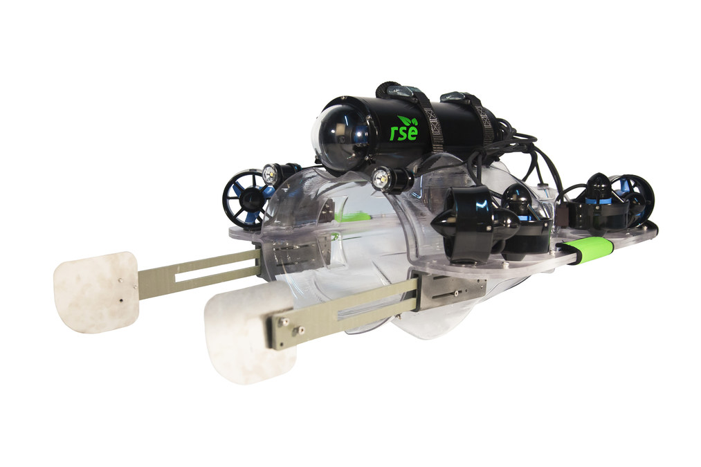 RSE Unveils Lionfish Guardian LF1, Mark 4 Robot with Visual