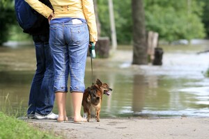 Purina Donates $25,000 to Help Pets and People Impacted by Tornados and Flooding in the Midwest