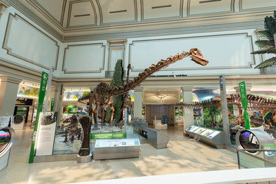 Smithsonian National Museum Of Natural History's Dinosaur Hall Restored ...