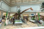 Smithsonian National Museum of Natural History's Dinosaur Hall Restored to its Original Grandeur