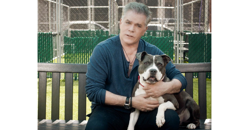 Animal Care Centers of NYC Partners With Actor Ray Liotta to Encourage Pet  Adoption