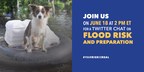 Consider Pets When Preparing for a Natural Disaster