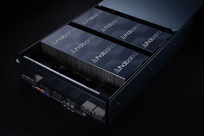 Habana GAUDI HLS-1 AI Training System with Heatsink Habana GAUDI HLS-1 AI Training System with Heatsink