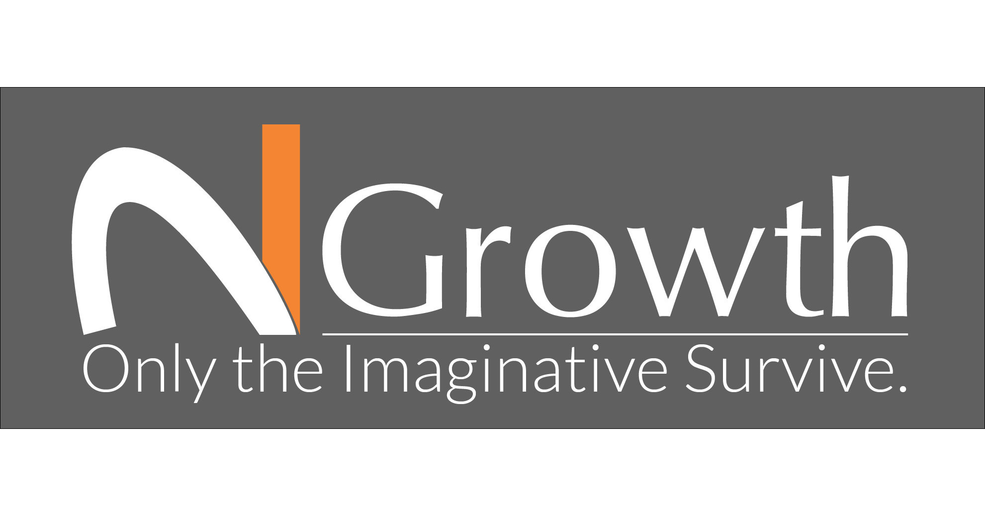 N2Growth, a Top Executive Search Firm, Appoints Blake Lindgren ... - PR Newswire