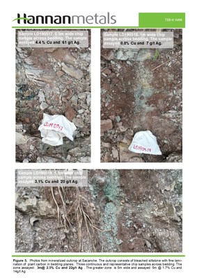 Figure 5. Photos from mineralized outcrop at Sacanche. The outcrop consists of bleached siltstone with fine lamination of plant carbon in bedding planes. Three continous and representative chip samples across bedding. The zone assayed: 3m@ 2.5% Cu and 22 g/t Ag. The greater zone is 5m wide and assayed: 5m @ 1.7% Cu and 14 g/t Ag (CNW Group/Hannan Metals Ltd.)