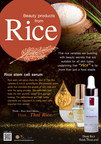 Thailand bringt Stammzellenserum aus heimischem Reis auf den Markt