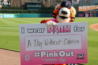 Detroit Tigers fans Pink Out the Park Wednesday night 