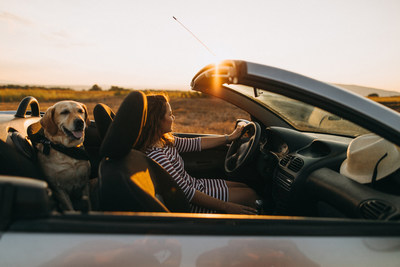 A new interactive road trip map from Orbitz ranks the seven most pet-friendly trips to plan this summer.