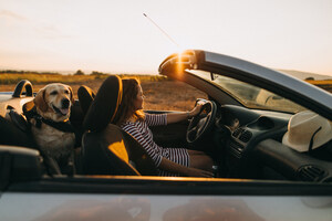 Orbitz Travel Survey Shows Three-in-Four Vacationers are Planning a Road Trip for Their Pets this Summer