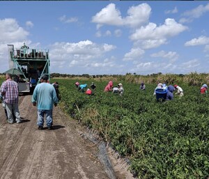 Green Point Research Launches Pilot Program to Help Struggling Farms Grow Hemp