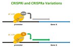 Cellecta, Inc. Launches the First Commercially Available Dual-sgRNA Libraries for CRISPRa and CRISPRi Genetic Screens