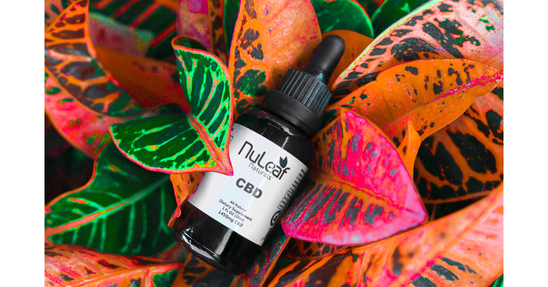 Sprouts Farmers Market to Carry NuLeaf Naturals CBD Oil in All 31