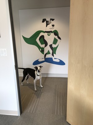 Lucky, the adopted spokesdog of TurfMutt, OPEI’s education platform, often visits OPEI headquarters to check on his human, Kris Kiser.