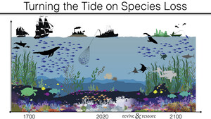 A New Toolkit To Accelerate Ocean Conservation: Ocean Genomics Horizon Scan