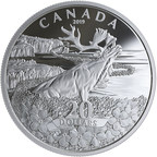 Royal Canadian Mint honra el símbolo de conmemoración de Terranova y Labrador con una moneda de plata que exhibe una nomeolvides