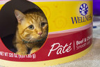 Creating Your Cat's Purrfect Pad: Wellness® Natural Pet Food Teams Up with Cat Condo Artists to Give Away Dream Digs for Fluffy