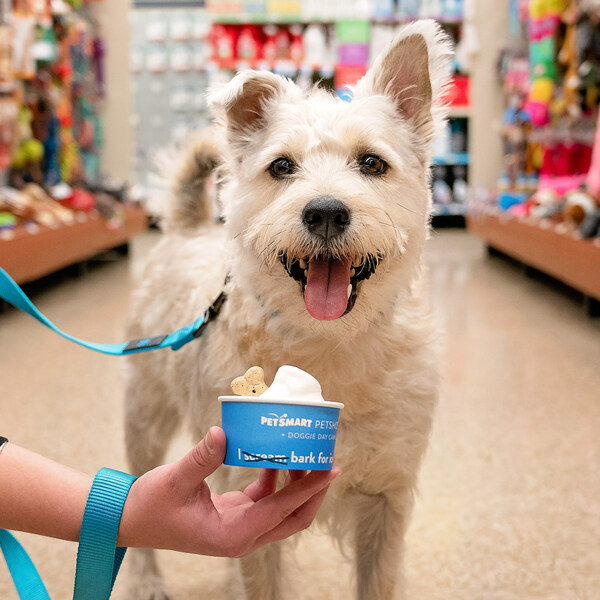 how much does dog boarding cost at petsmart