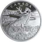Royal Canadian Mint honours Newfoundland and Labrador's symbol of remembrance with a Forget-me-not silver coin