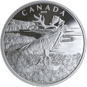 La Monnaie royale canadienne rend hommage au symbole du Souvenir de Terre-Neuve-et-Labrador avec une pièce en argent ornée de myosotis