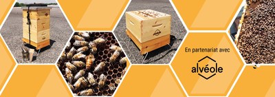 Photos des ruches et abeilles BTB situes au 2200 Walkley,  Ottawa (Ontario). (Groupe CNW/Fonds de placement immobilier BTB)