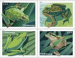 Frogs Leap onto Forever Stamps