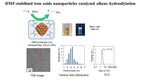 Kansai University Research: Development of Iron Oxide Nanoparticle Catalyst for Producing Organosilicon Compounds
