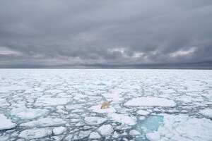Arctic Sea Ice Day Raises Awareness About the Importance of Sea Ice, for Polar Bears and People Around the World