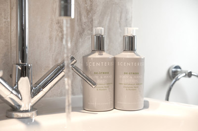 Scentered Amenities Line Hand and Body Wash