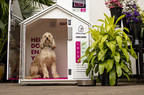 Zupan's Markets Launched DogSpot, an Innovative Solution for Dog-Owning Customers on July 9th