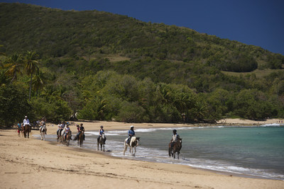 Cluny Beach, the Guadeloupe Islands.