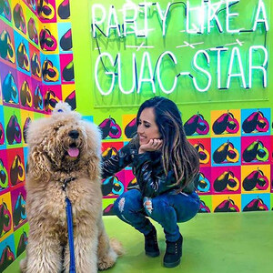 The TACOTOPIA Tour, an Instagram Pop-up Experience Celebrating America's Love of Tacos, Announces the Addition of Dog Day Afternoons Every Monday through Labor Day