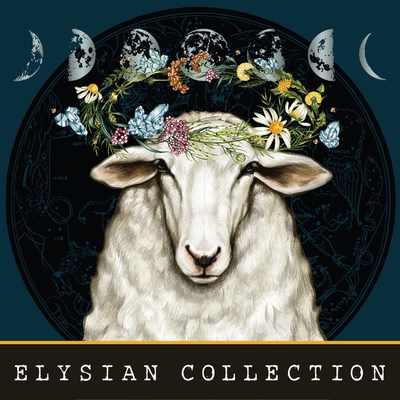 Announcing the Debut of Elysian Collection, an elevated new offering from Bonterra Organic Vineyards