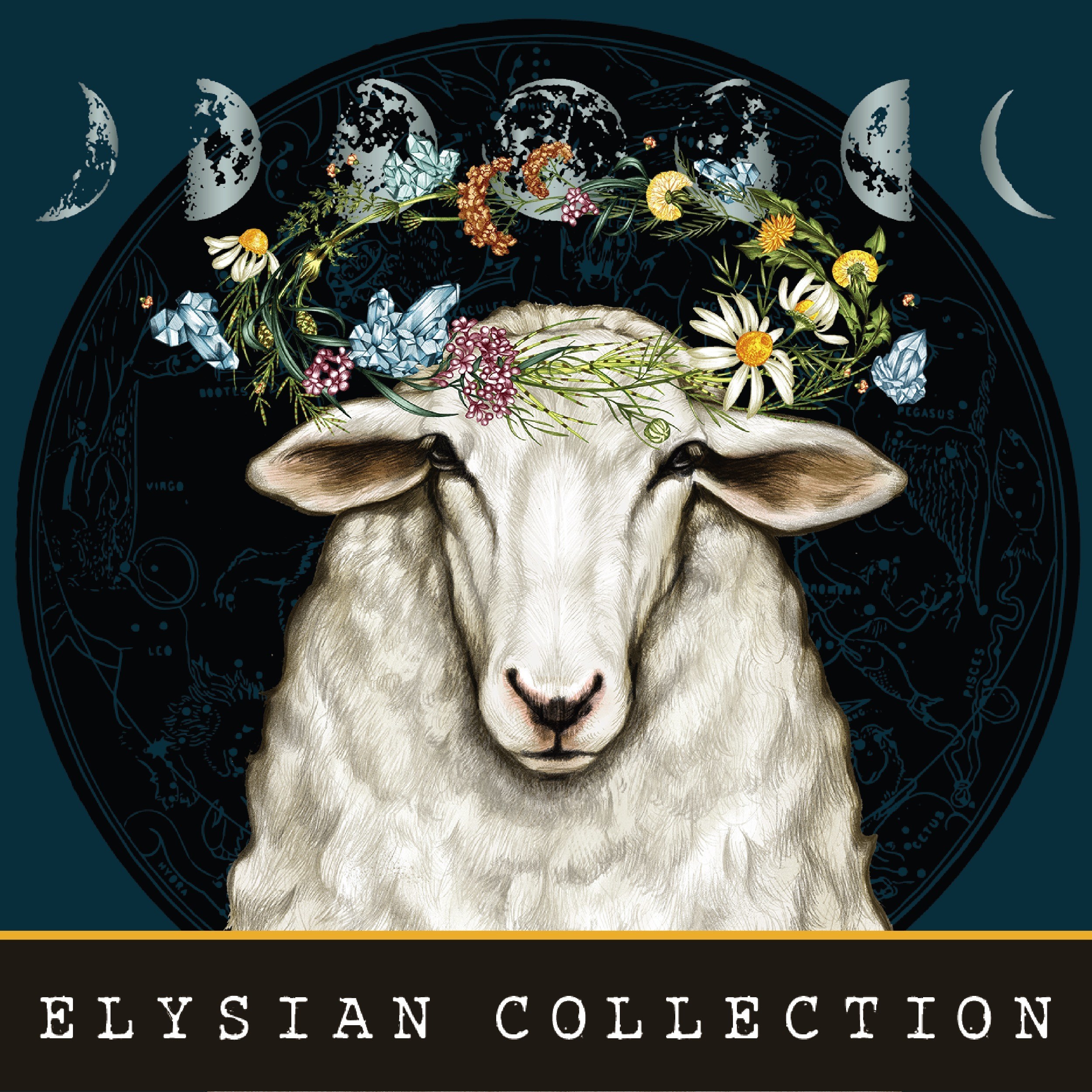 Bonterra Organic Vineyards Launches New Brand: The Elysian Collection