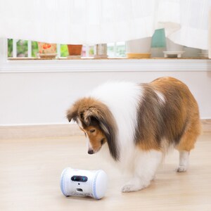 Fur Babies Will Never Feel Alone Again with VARRAM Pet Fitness Robot, Specially Designed to Keep Dogs and Cats Mentally and Physically Engaged