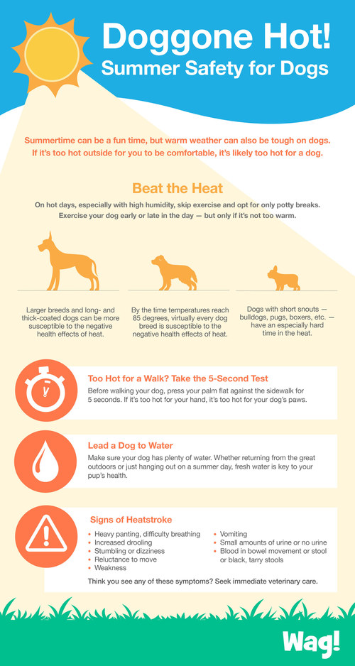 Wag! Provides Safety Tips to Help Pet Parents Protect Their Dogs 
from the Dangers of Hot Temperatures