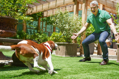 Andy Cohen and Purina ONE® team up to bring awareness of senior dog care after a recent survey from the brand showed 83 percent of senior dog owners do not know when a dog is considered a senior.
