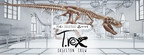 Vive Studios' Latest Production, T. Rex: Skeleton Crew, Launches On Viveport Infinity