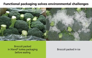 StePac: Taking Broccoli Packaging Out of the Ice Age