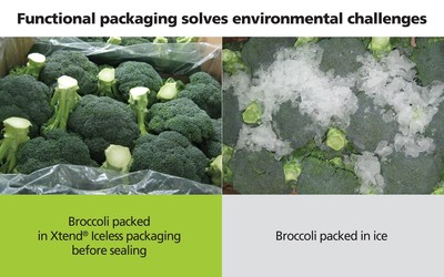 StePac: Taking broccoli packaging out of the ice age StePac: Taking broccoli packaging out of the ice age